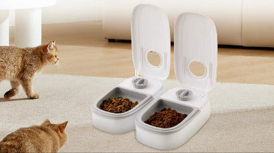 deux chats se dirigent vers le Distributeur de croquettes pour chat programmable 