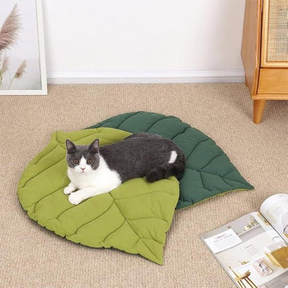 deux coussins chat et chat sur un