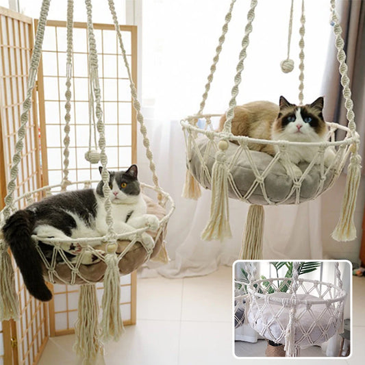 deux hamacs pour chat et photo
