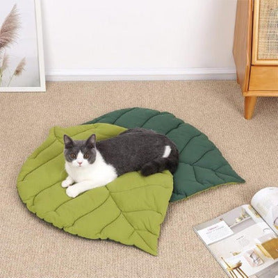 deux tapis de lit pour chat et chat couché dessus