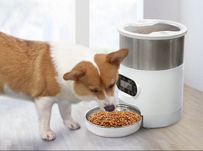 Distributeur automatique croquettes chat | ProgramTiming - Chat - Mellow