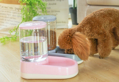 distributeur automatique de croquettes pour chat et chien