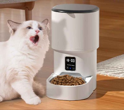 Distributeur de croquettes pour chat | AutoFeed - Chat - Mellow