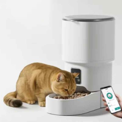 Distributeur de croquettes pour chat | AutoFeed - Chat - Mellow