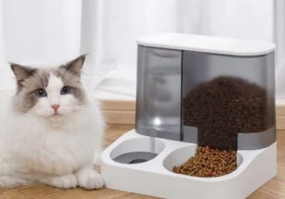 Distributeur de croquettes pour chat | AutoFeeder - Chat - Mellow