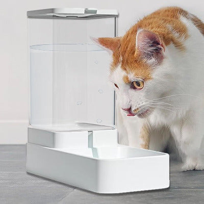 chat boit dans le Distributeur de croquettes pour chat - Eau & Croquettes 