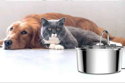 Fontaine a eau chat et chien avec robinet