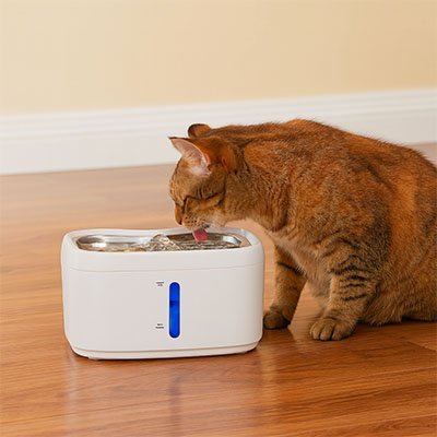 Fontaine à eau Chat | Filtrante Fraîcheur - Chat - Mellow