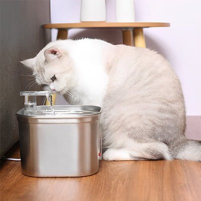 Fontaine a eau chat | Filtration Avancée - Chat - Mellow
