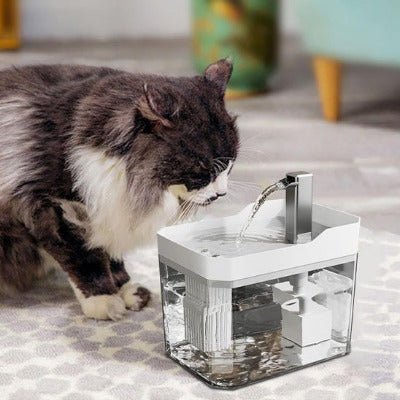 Fontaine à eau chat | Filtration Transparent - Chat - Mellow