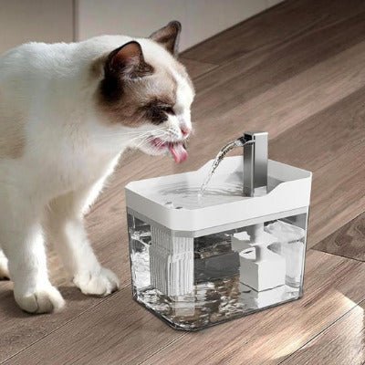 Fontaine à eau chat | Filtration Transparent - Chat - Mellow