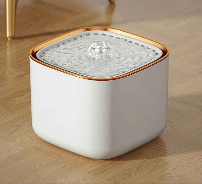 Fontaine à eau chat forme Cube blanc doré