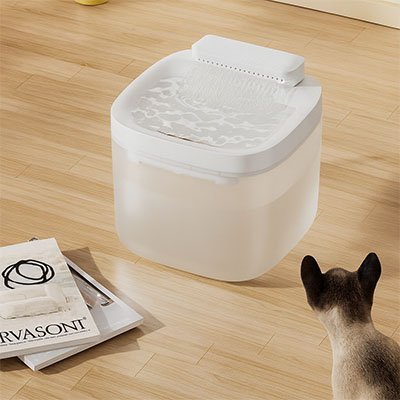 Fontaine eau chat | Filtration Continue - Chat - Mellow