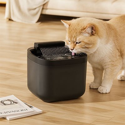 Fontaine eau chat | Filtration Continue - Chat - Mellow