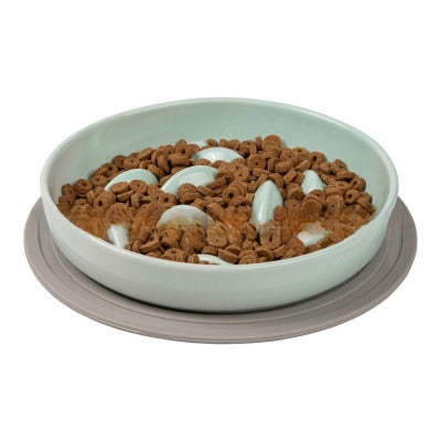 Gamelle anti glouton chat Céramique Poissons avec support silicone et bol bleu