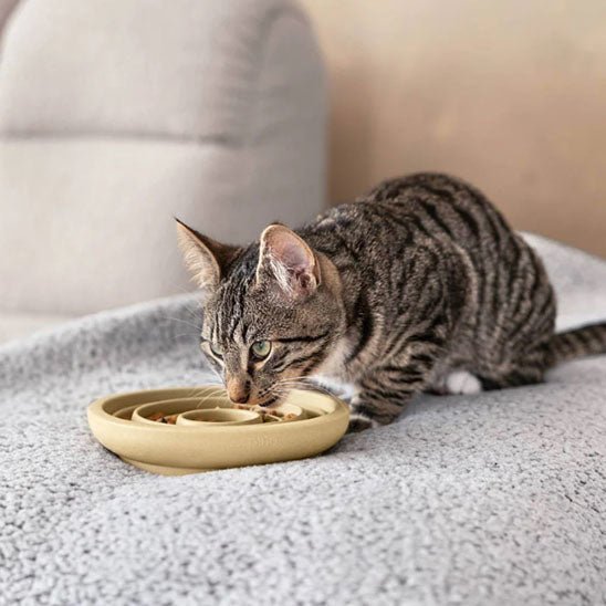 Gamelle anti glouton chat Céramique Spirale - Chat - Mellow