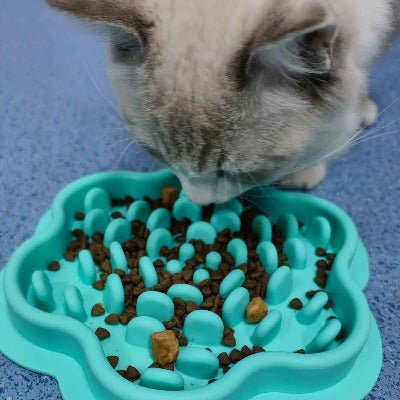 Gamelle Anti Glouton Chat | DigestiMax - Chat - Mellow