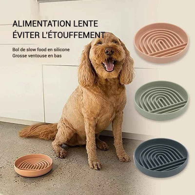 Gamelle anti glouton chat et chien en silicone 