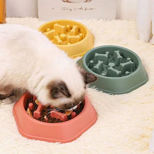 Gamelle anti glouton chat - Forme os - Chat - Mellow
