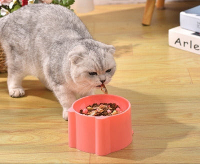 chat gris mange dans la Gamelle anti glouton chat Surélevée Poissons 