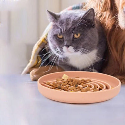 gros chat gris vers la Gamelle anti glouton chat en silicone 