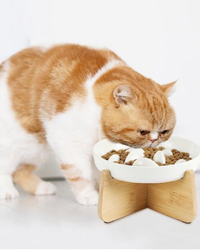 gros chat roux mange dans sa Gamelle anti glouton chat Céramique Poissons 