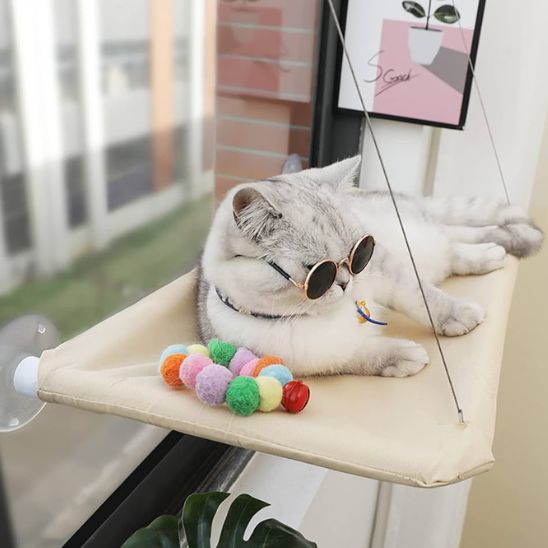 hamac chat fenetre chat deguise