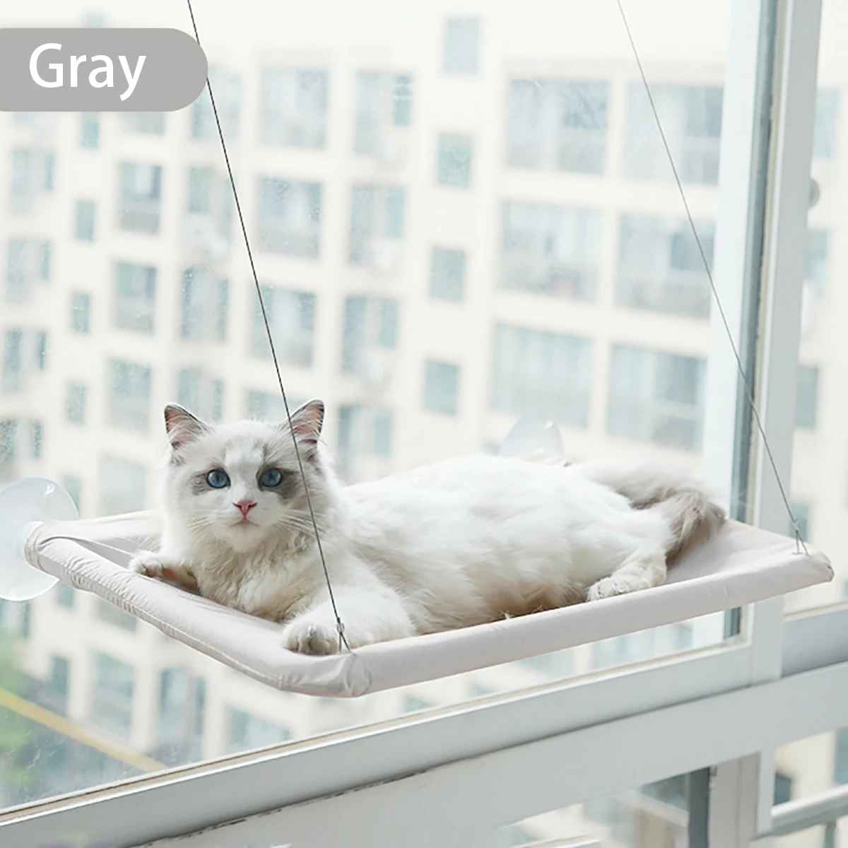hamac chat fenetre gris