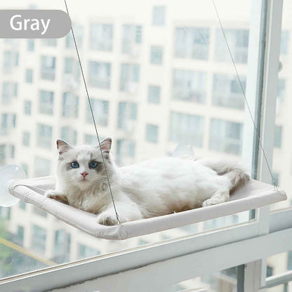 hamac chat fenetre gris