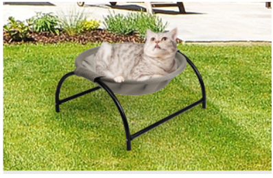 hamac chat sur gazon
