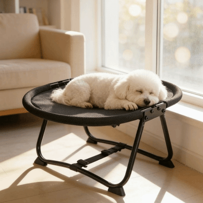 hamac chat sur pied | Lit de Camp Pliable - Chat - Mellow