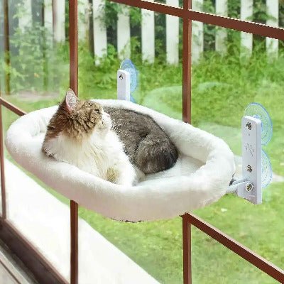 Hamac Chat Ventouse | Observatoire Douillet - Chat - Mellow
