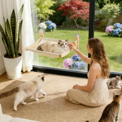 Hamac fenetre chat | Robuste Soleil - Chat - Mellow