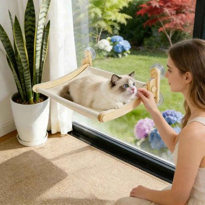 Hamac fenetre chat | Robuste Soleil - Chat - Mellow