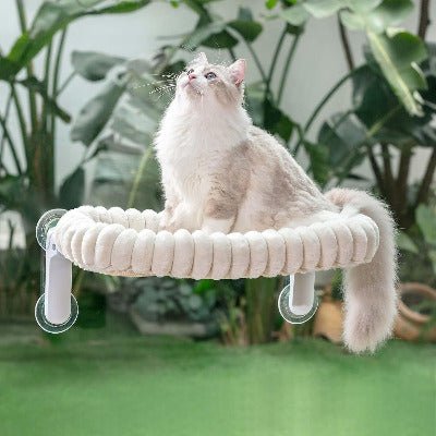 Hamac fenetre pour chat | Ultra - Solide 18kg - Chat - Mellow