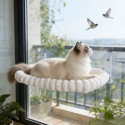 Hamac fenetre pour chat | Ultra - Solide 18kg - Chat - Mellow