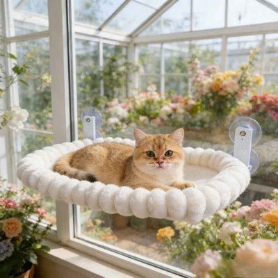 Hamac fenetre pour chat | Ultra - Solide 18kg - Chat - Mellow