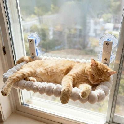 Hamac fenetre pour chat | Ultra - Solide 18kg - Chat - Mellow