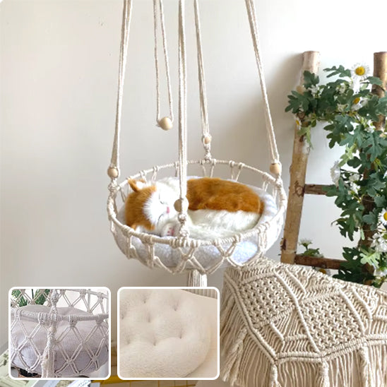 hamac pour chat avec chat et photos
