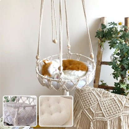 hamac pour chat avec chat et photos