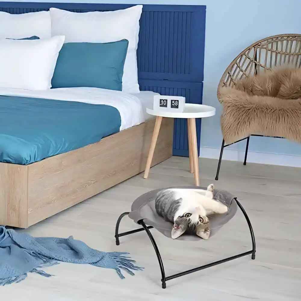 hamac pour chat dans chambre