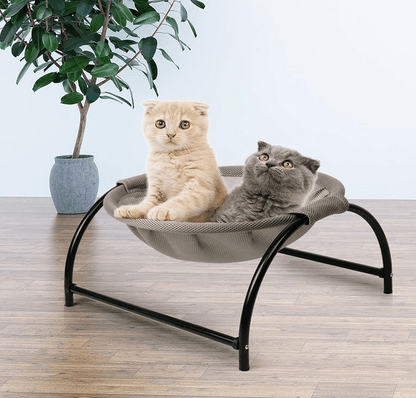 Hamac surélevé pour chat avec 2 chatons