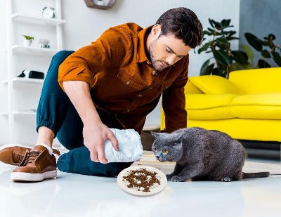 homme versant des croquettes dans la Gamelle anti glouton céramique chat surélevée 