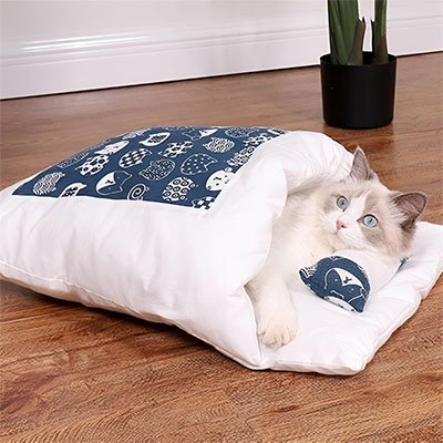 Lit chat | Kawaii Futon - relax