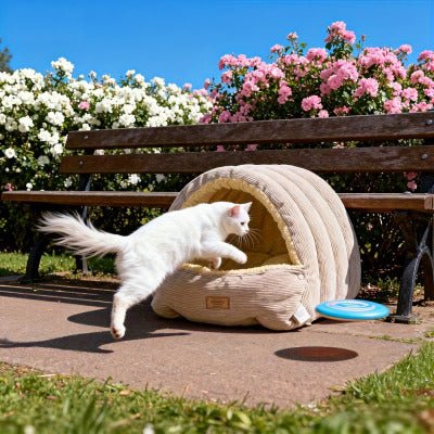 Lit Chat | Ultra - Confortable  extérieur