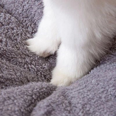 Maison à Chat | Confortable et Douillet - Chat-Mellow