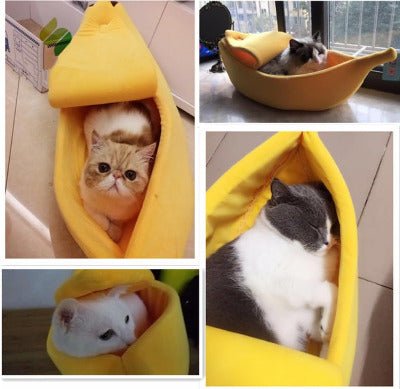 Maison chat | Banane Confortable et 4 images