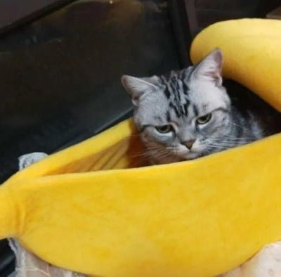 Maison chat | Banane Confortable cachette
