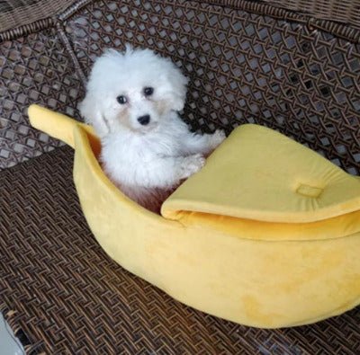 Maison chat | Banane Confortable pour chien