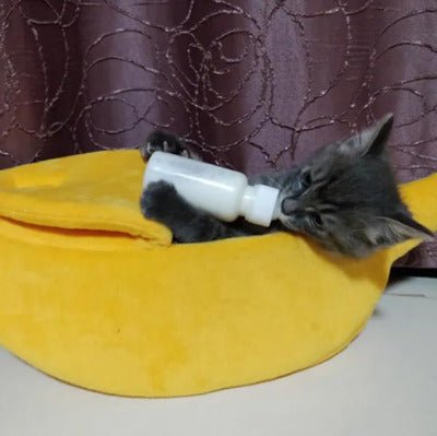 Maison chat | Banane Confortable relaxation